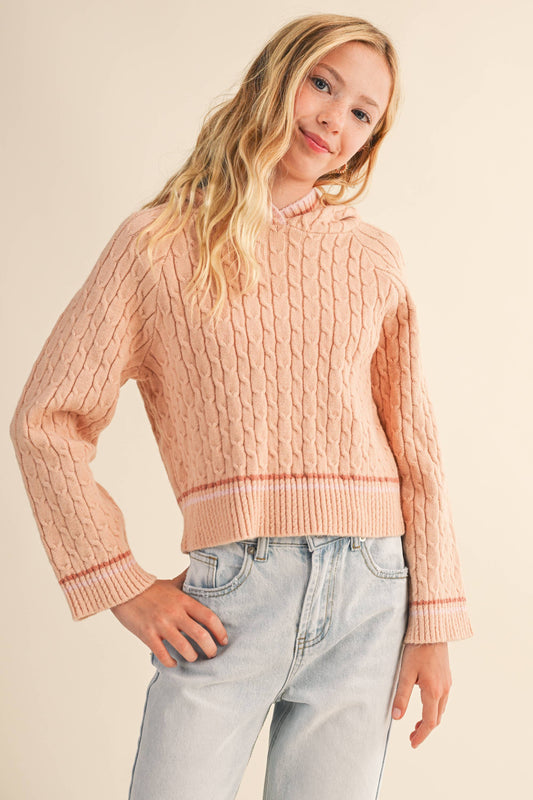 Soft Blush Hooded Cable Knit Sweater