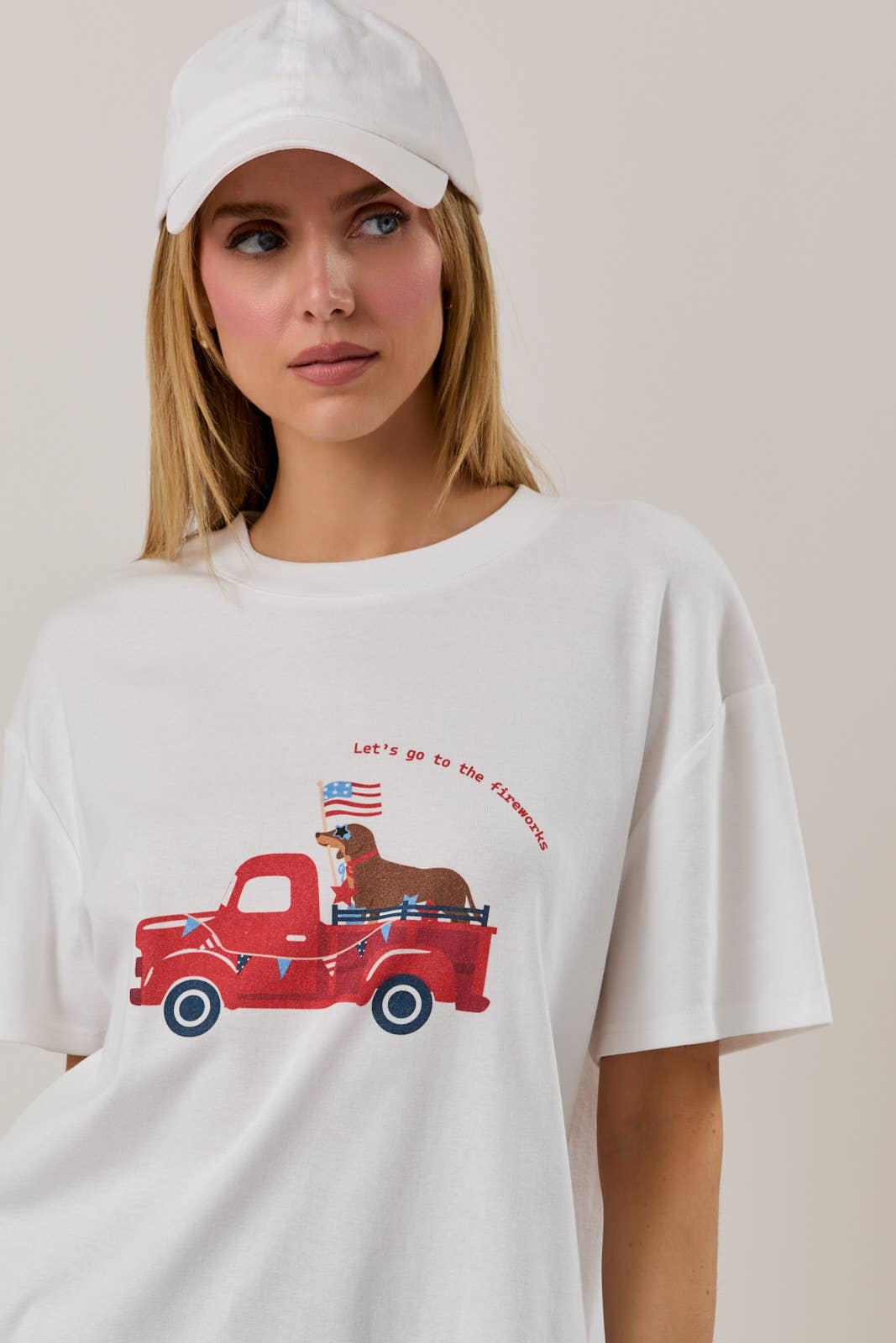 White USA Dog Car Graphic Print Tee-142111