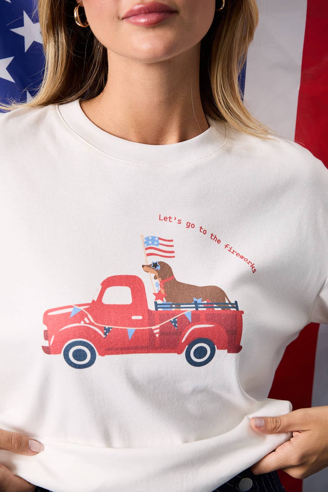 White USA Dog Car Graphic Print Tee-142111